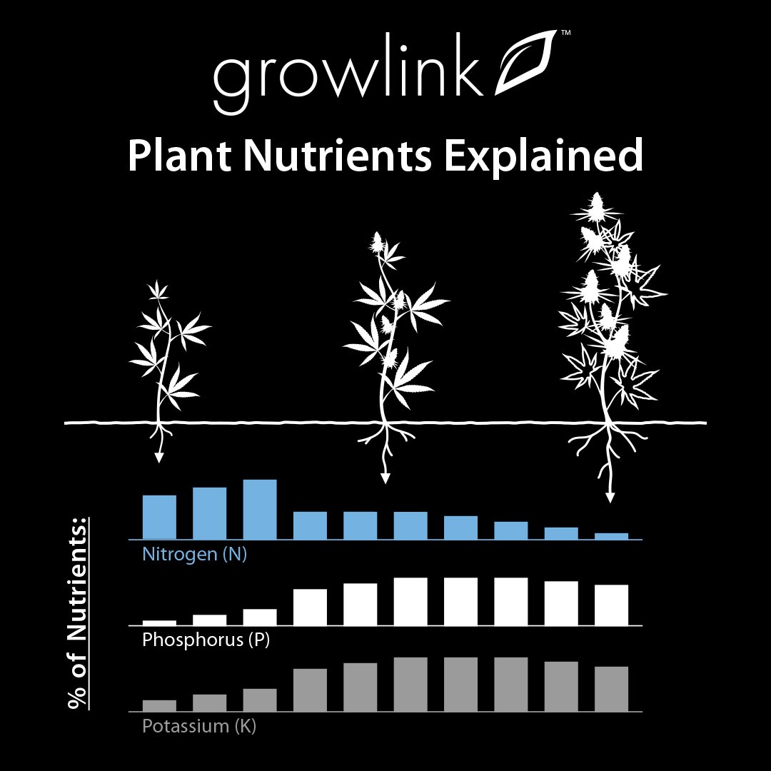 Cannabis Plant Nutrients Explained | Cannabis Fertilizer | Growlink